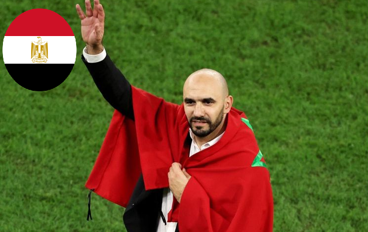 مفاوضات وليد الركراكي وبيراميدز المصري