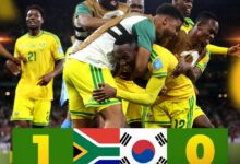 مفاجأة جنوب أفريقيا تربك حسابات التأهل الجزائر والسنغال في كأس العالم