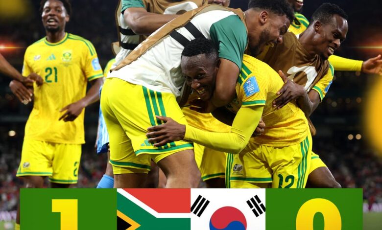 مفاجأة جنوب أفريقيا تربك حسابات التأهل الجزائر والسنغال في كأس العالم