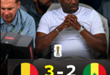 مباراة بلجيكا والسنغال